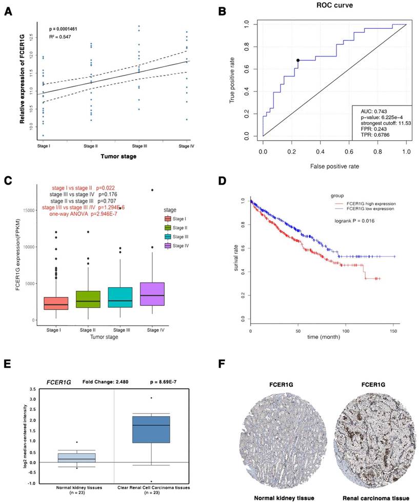 Int J Biol Sci Image