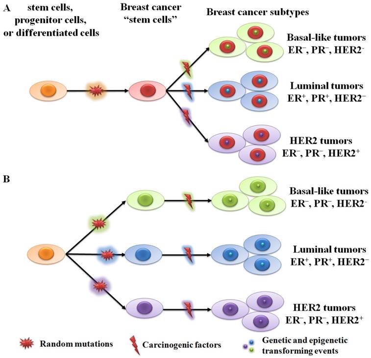 Int J Biol Sci Image