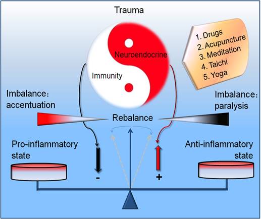 Int J Biol Sci Image