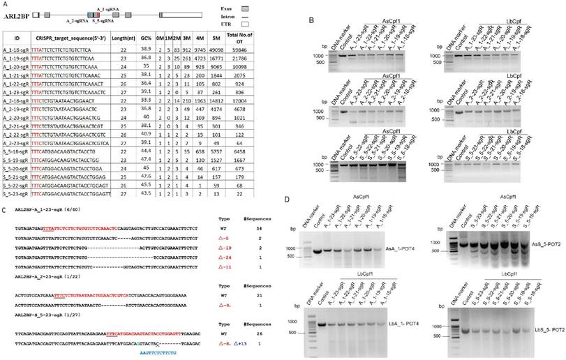 Int J Biol Sci Image