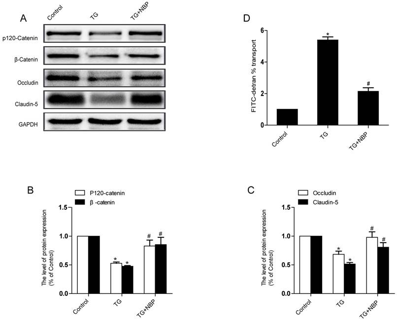 Int J Biol Sci Image