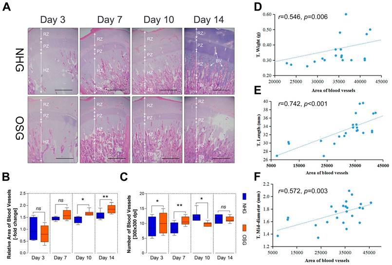 Int J Biol Sci Image