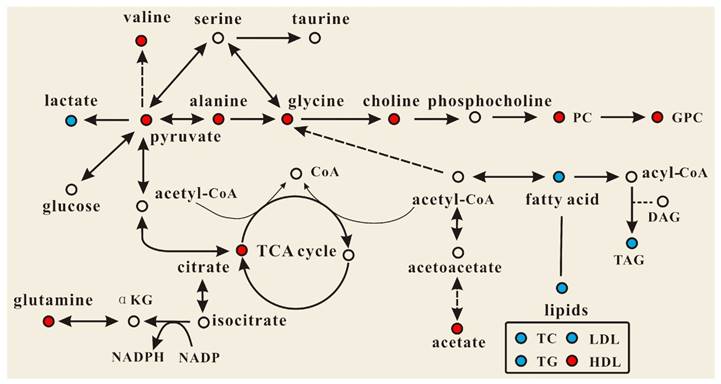 Int J Biol Sci Image