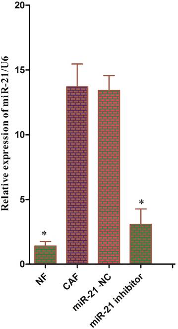 Int J Biol Sci Image