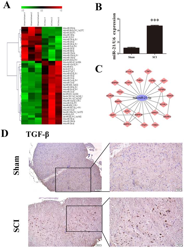 Int J Biol Sci Image