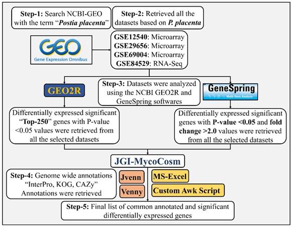 Int J Biol Sci Image