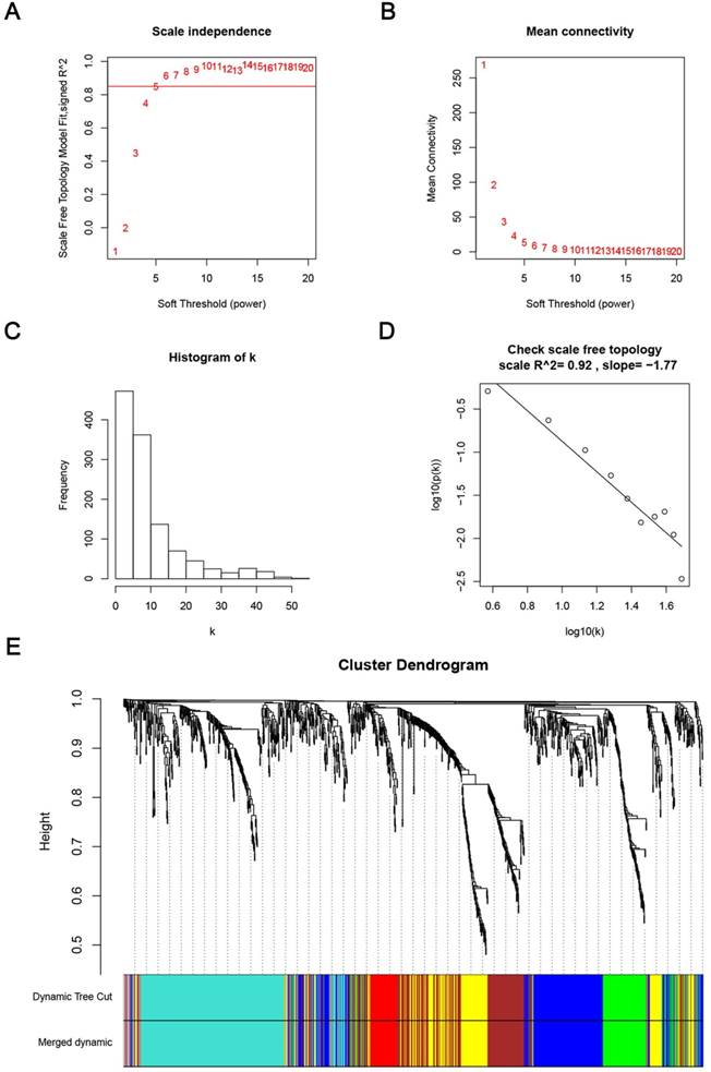 Int J Biol Sci Image