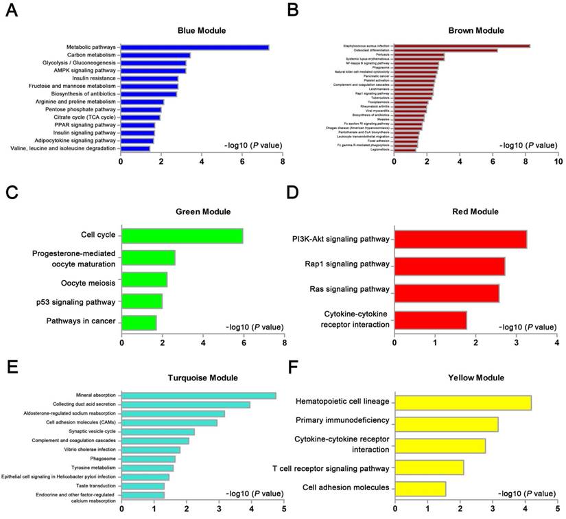 Int J Biol Sci Image