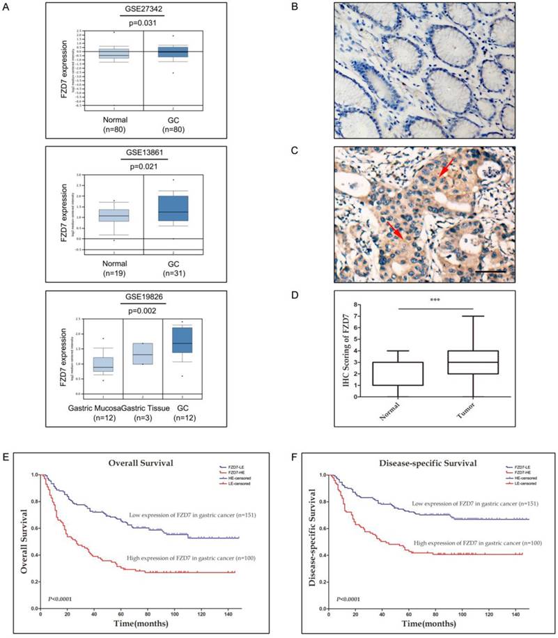 Int J Biol Sci Image