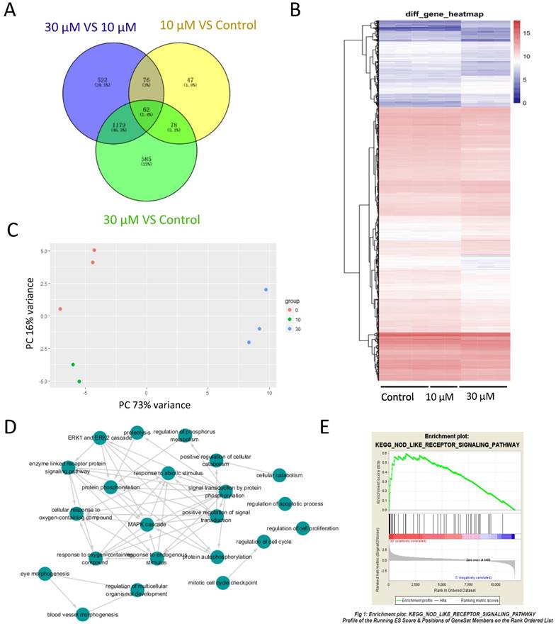 Int J Biol Sci Image