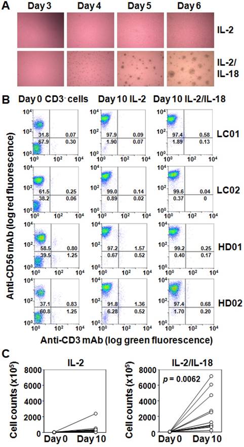 Int J Biol Sci Image