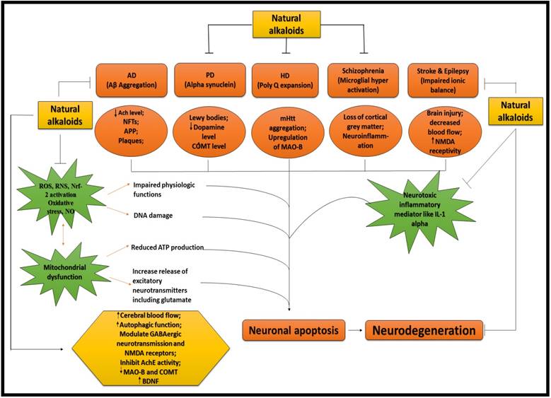 Int J Biol Sci Image