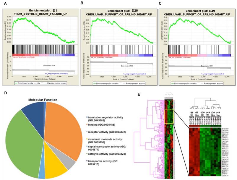 Int J Biol Sci Image