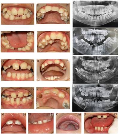 Int J Biol Sci Image