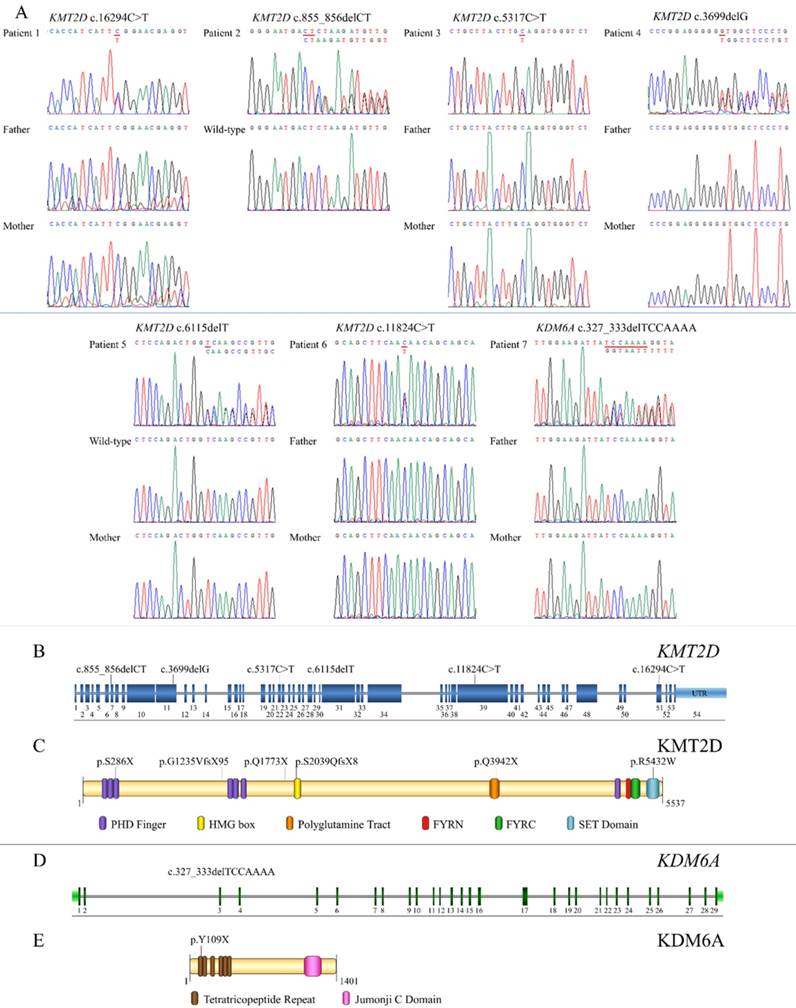 Int J Biol Sci Image