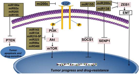 Int J Biol Sci Image