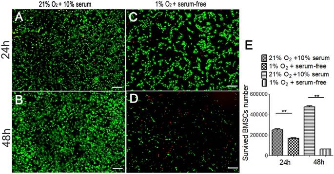 Int J Biol Sci Image