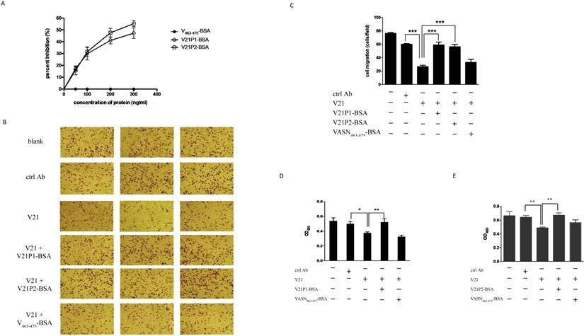 Int J Biol Sci Image