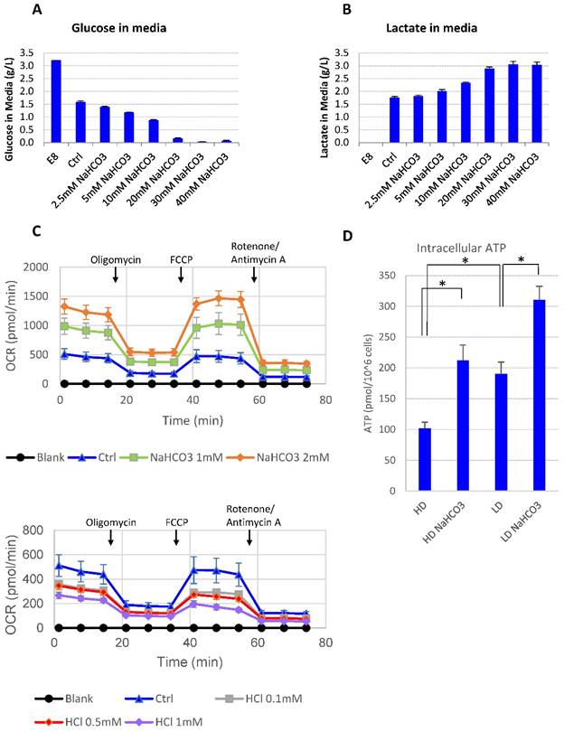 Int J Biol Sci Image