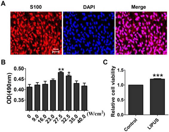 Int J Biol Sci Image