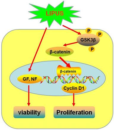 Int J Biol Sci Image