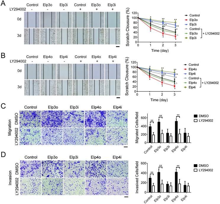 Int J Biol Sci Image