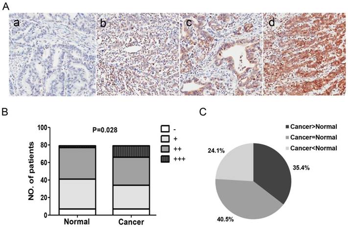 Int J Biol Sci Image