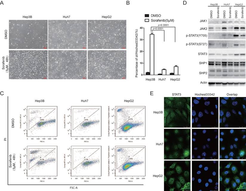 Int J Biol Sci Image