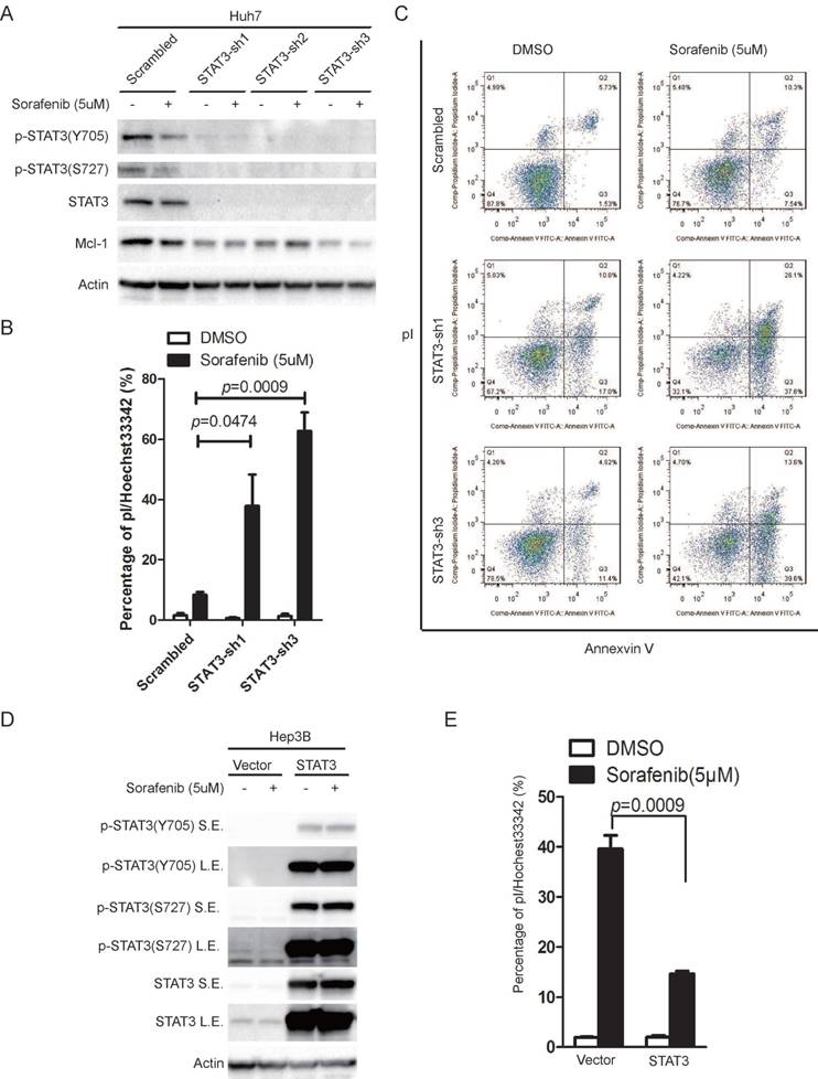 Int J Biol Sci Image