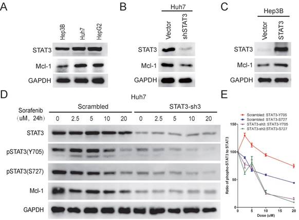 Int J Biol Sci Image