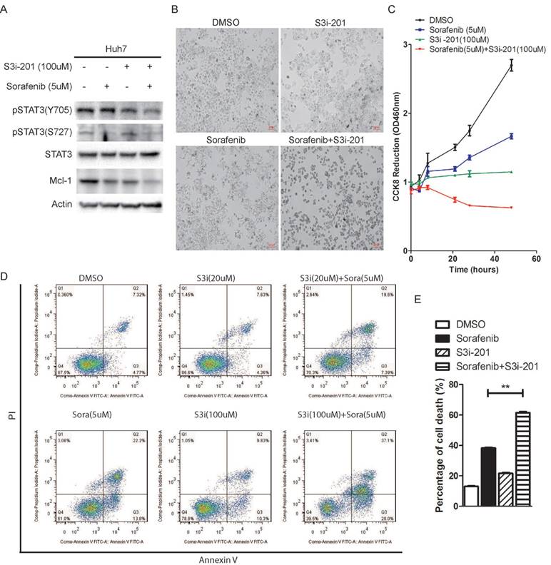 Int J Biol Sci Image