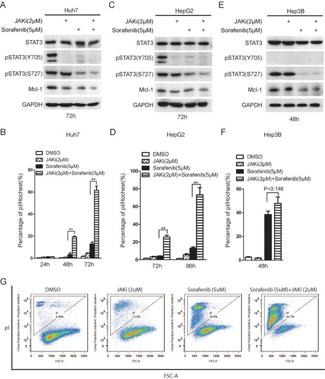 Int J Biol Sci Image