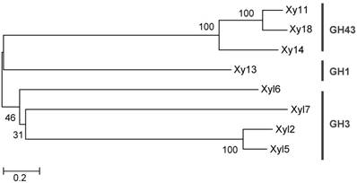 Int J Biol Sci Image