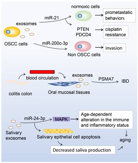 Int J Biol Sci Image