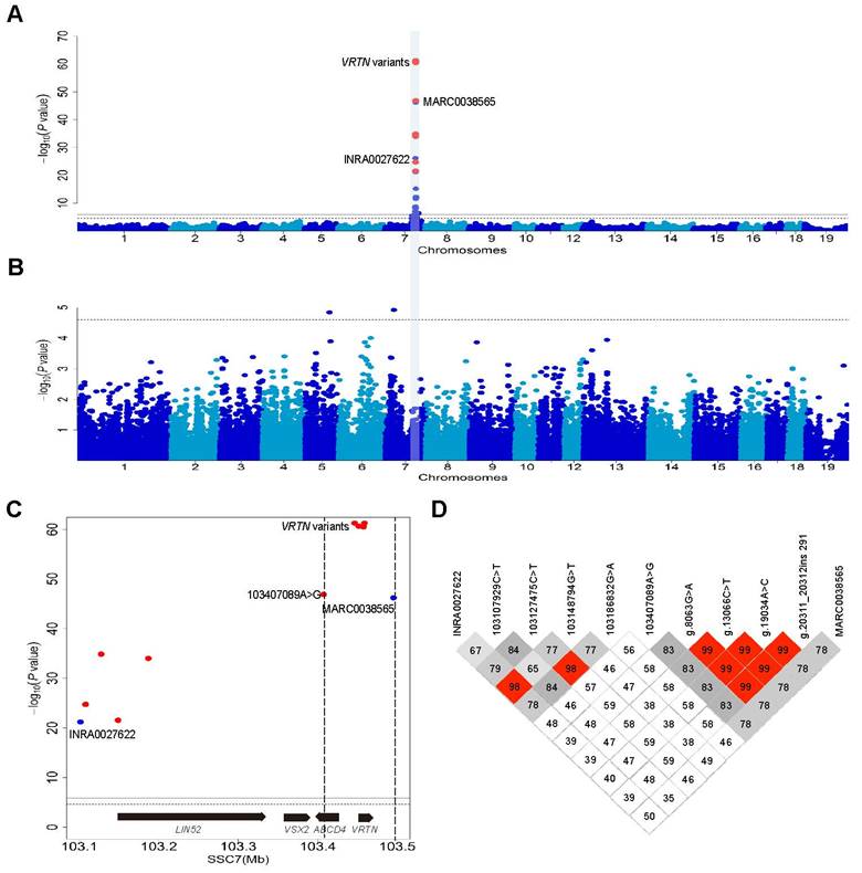 Int J Biol Sci Image