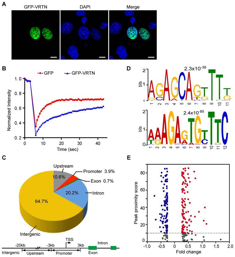 Int J Biol Sci Image