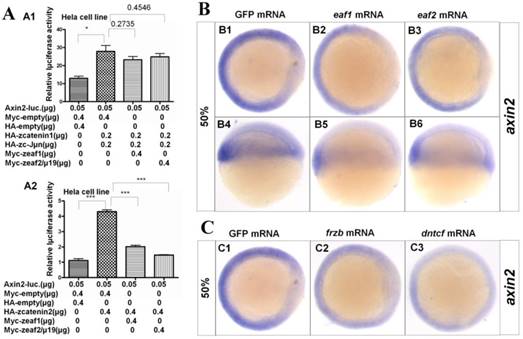 Int J Biol Sci Image