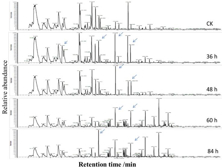 Int J Biol Sci Image