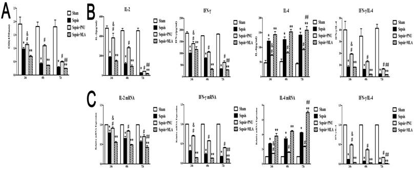 Int J Biol Sci Image