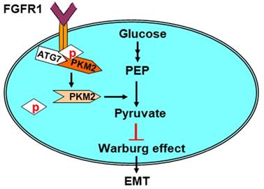 Int J Biol Sci Image