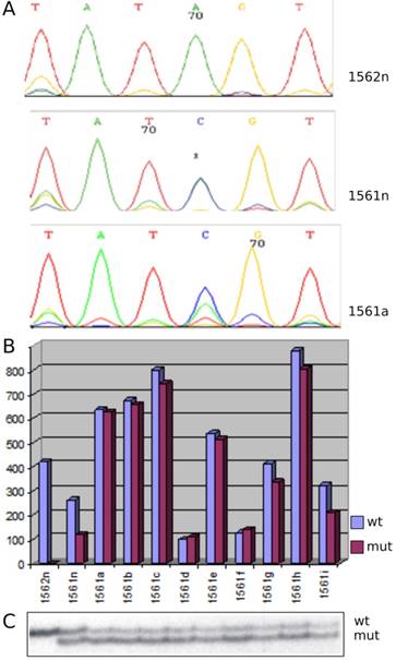 Int J Biol Sci Image