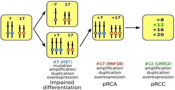 Int J Biol Sci Image