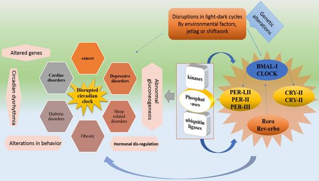 Int J Biol Sci Image