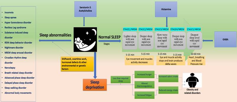 Int J Biol Sci Image