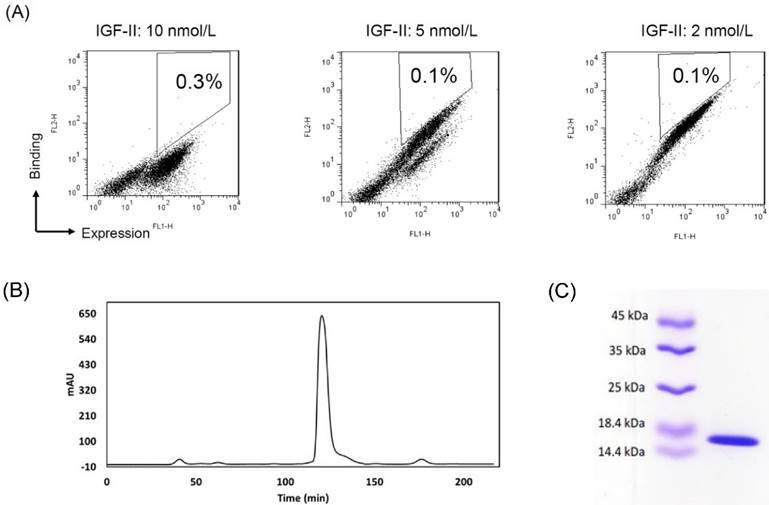 Int J Biol Sci Image