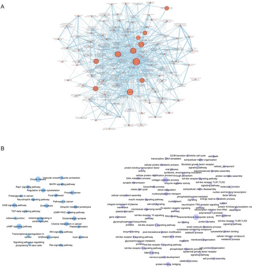 Int J Biol Sci Image