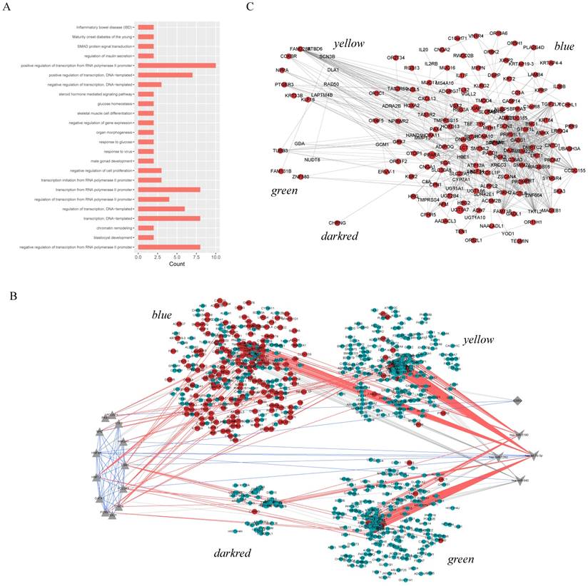 Int J Biol Sci Image