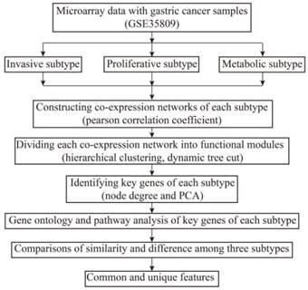 Int J Biol Sci Image