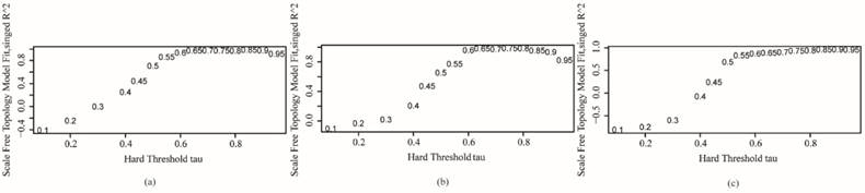 Int J Biol Sci Image