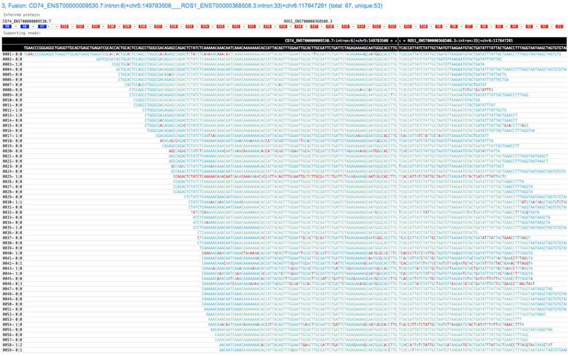 Int J Biol Sci Image